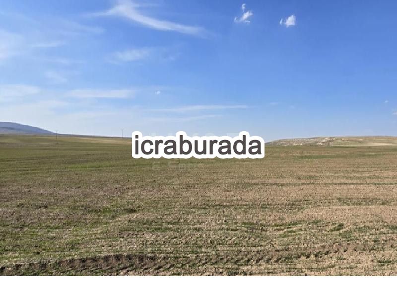 icralık  m2 Tarla Belirtilmedi Belirtilmedi Belirtilmedi