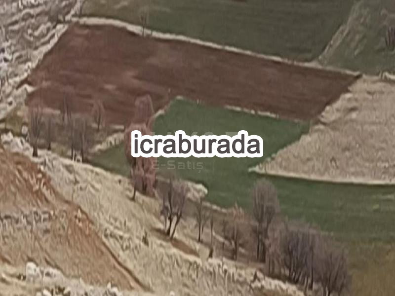 icralık  m2 Tarla Diyarbakır Ergani Yamaçlar