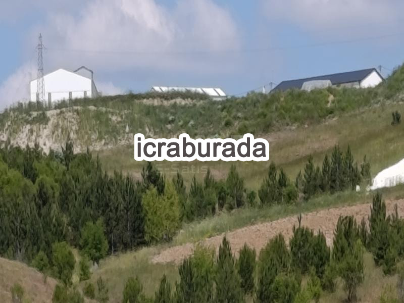 icralık  m2 Tarla Yozgat Akdağmadeni Bulgurlukaput