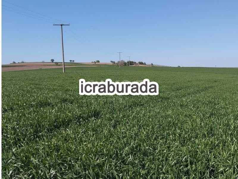 icralık  m2 Tarla Edirne Merkez Eskikadin