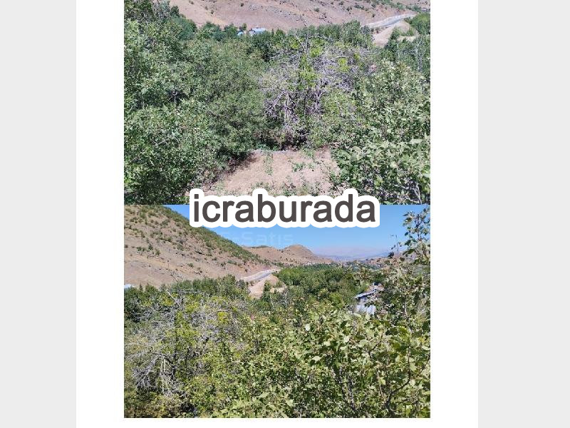 icralık  m2 Diger Malatya Arapgir Kayakesen