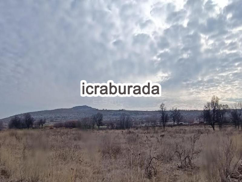 icralık  m2 Tarla Diyarbakır Ergani Otluca