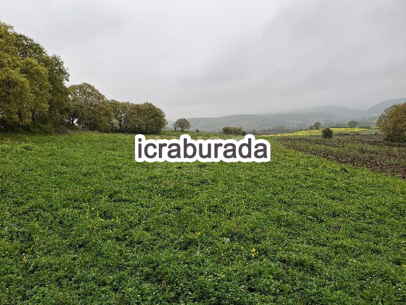 icralık  m2 Tarla Balıkesir İvrindi Kurtuluş