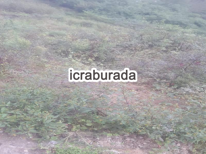 icralık  m2 Diger Belirtilmedi Belirtilmedi Belirtilmedi