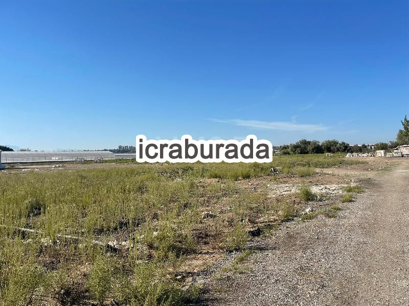 icralık  m2 Tarla Antalya Muratpaşa Güzeloba