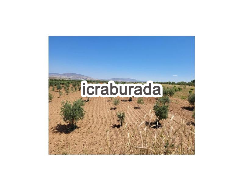 icralık  m2 Tarla Kilis Merkez Duruca