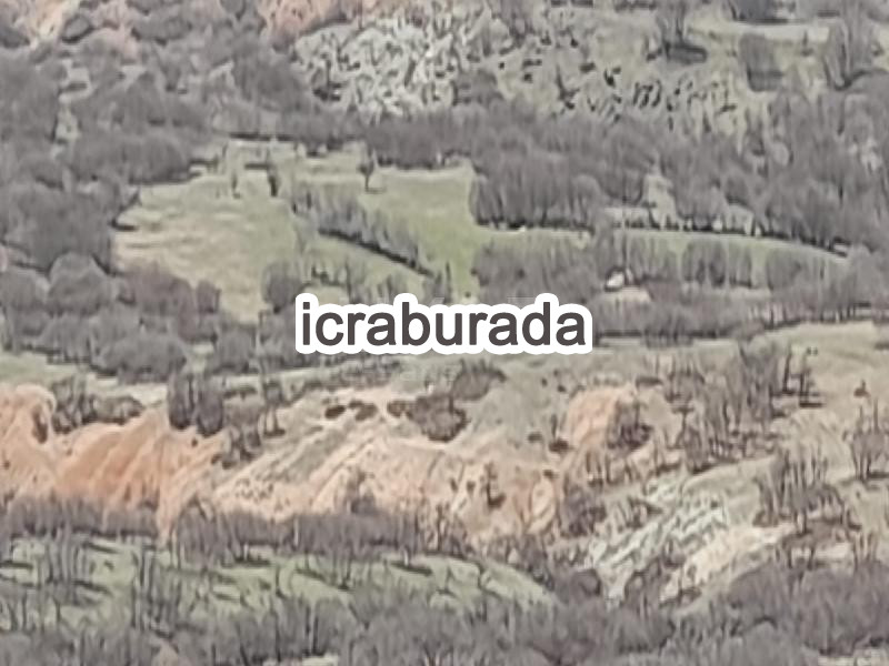 icralık  m2 Tarla Malatya Arguvan Ermişli