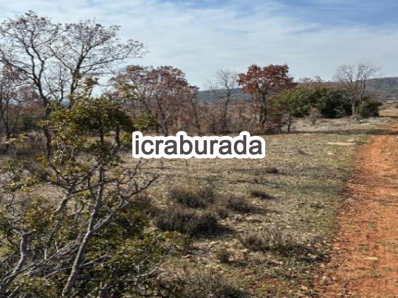icralık  m2 Tarla Denizli Bekilli Üçkuyu