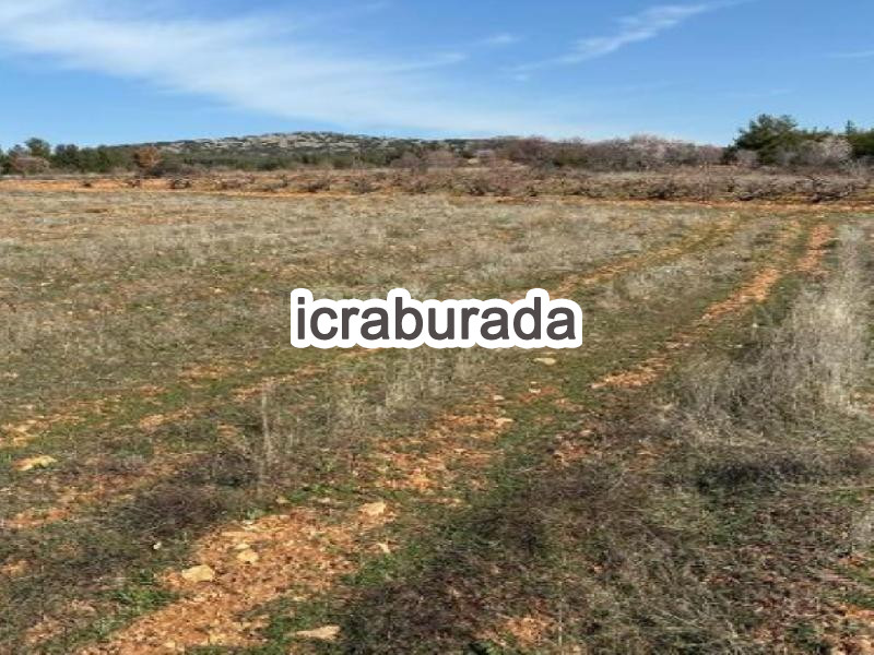 icralık  m2 Tarla Denizli Bekilli Üçkuyu