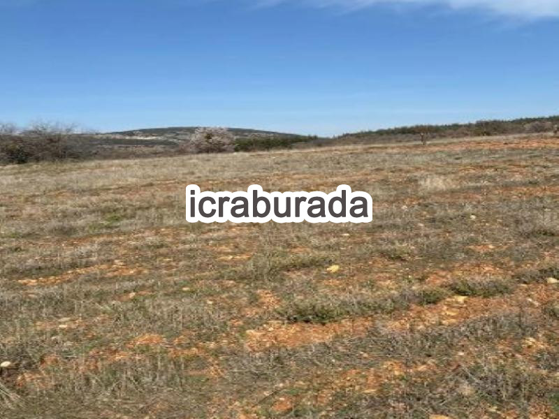 icralık  m2 Tarla Denizli Bekilli Üçkuyu