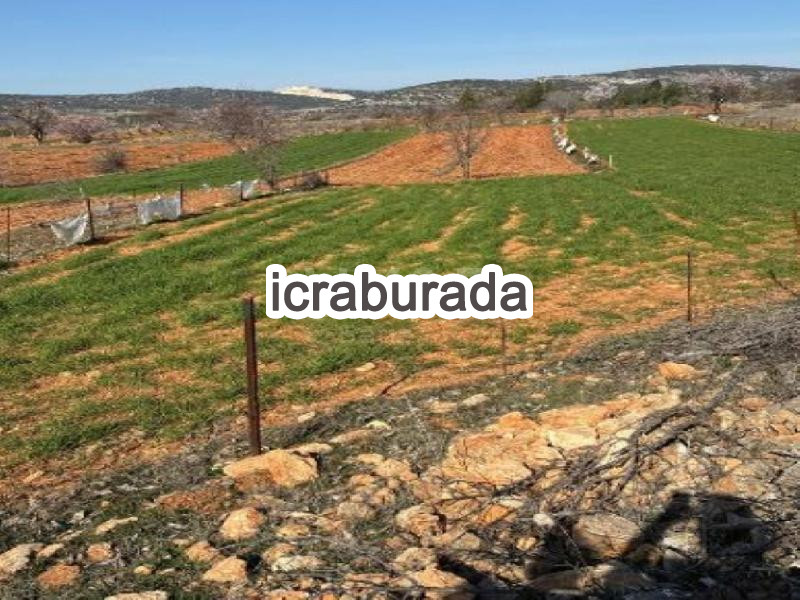 icralık  m2 Tarla Denizli Bekilli Üçkuyu