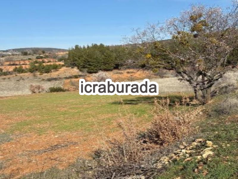 icralık  m2 Tarla Denizli Bekilli Üçkuyu