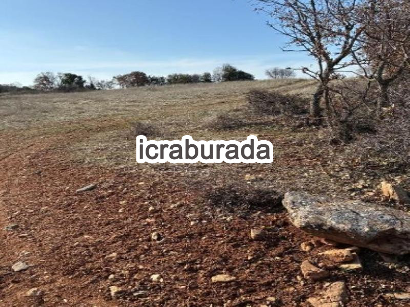 icralık  m2 Bag Denizli Bekilli Üçkuyu
