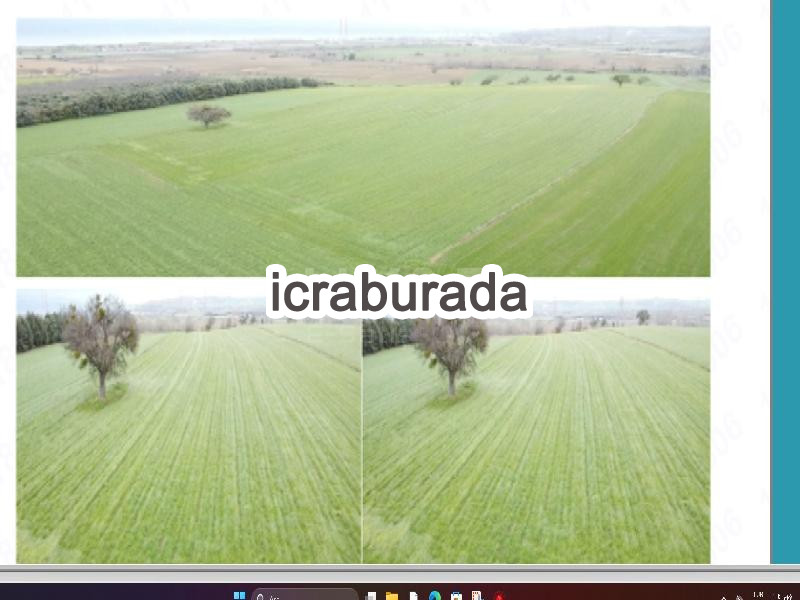 icralık  m2 Tarla Çanakkale Gelibolu Sütlüce