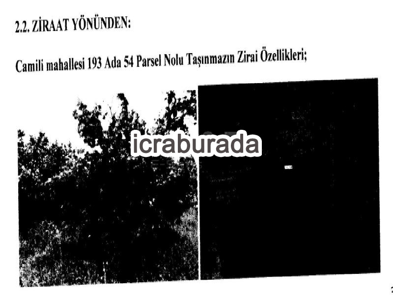 icralık  m2 Tarla Sakarya Hendek Camili