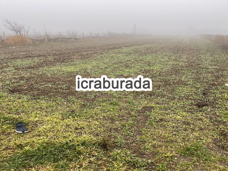 icralık  m2 Tarla Eskişehir Tepebaşı Satilmişoğlu
