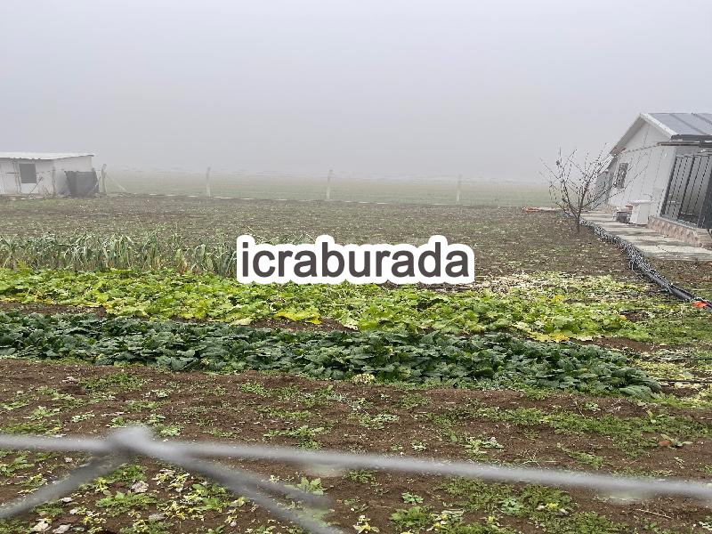 icralık  m2 Tarla Eskişehir Tepebaşı Satilmişoğlu