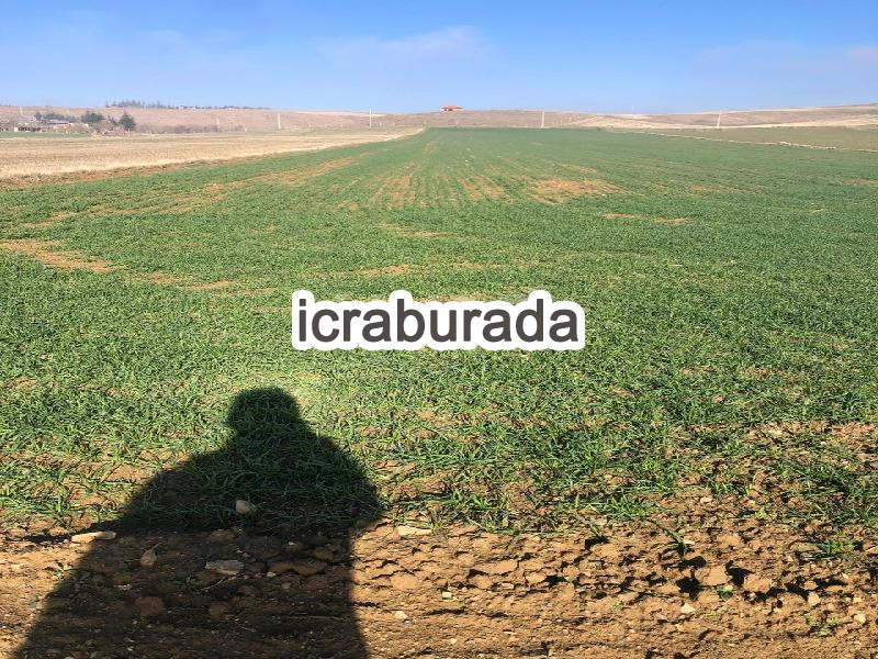 icralık  m2 Tarla Eskişehir Tepebaşı Eğriöz