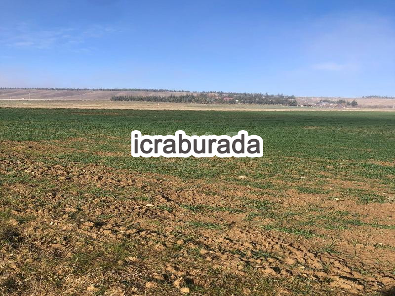 icralık  m2 Tarla Eskişehir Tepebaşı Eğriöz