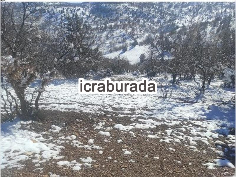 icralık  m2 Bag Konya Çumra Tahtali
