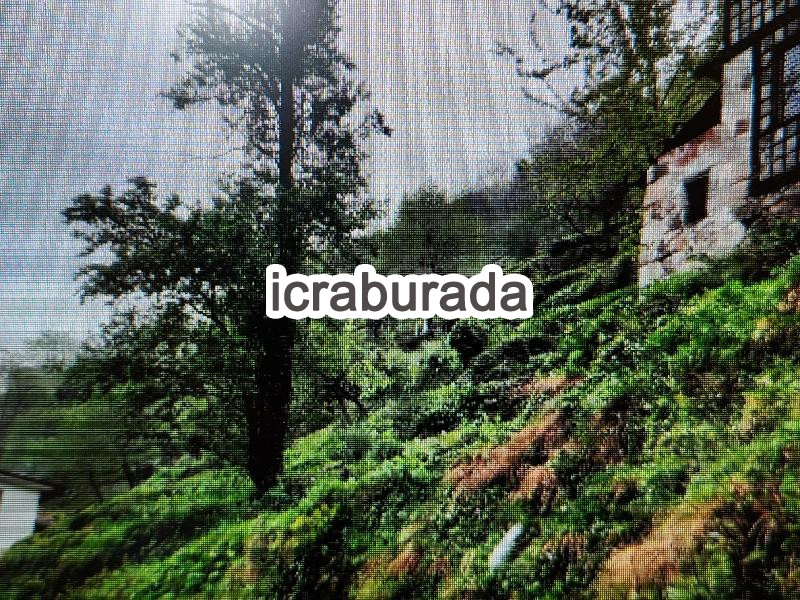 icralık  m2 Tarla Rize İkizdere Güneyce