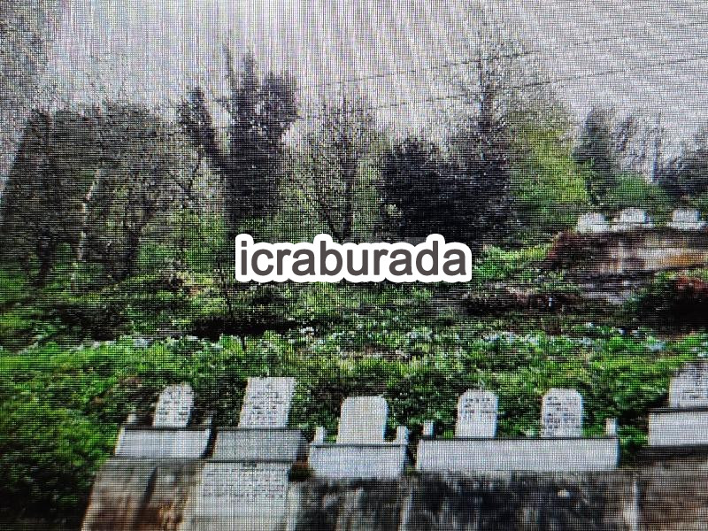 icralık  m2 Diger Rize İkizdere Güneyce