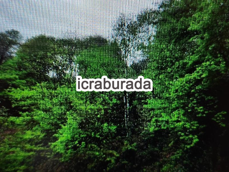 icralık  m2 Tarla Rize İkizdere Güneyce