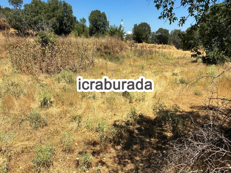icralık  m2 Tarla Uşak Banaz Kizilcaören