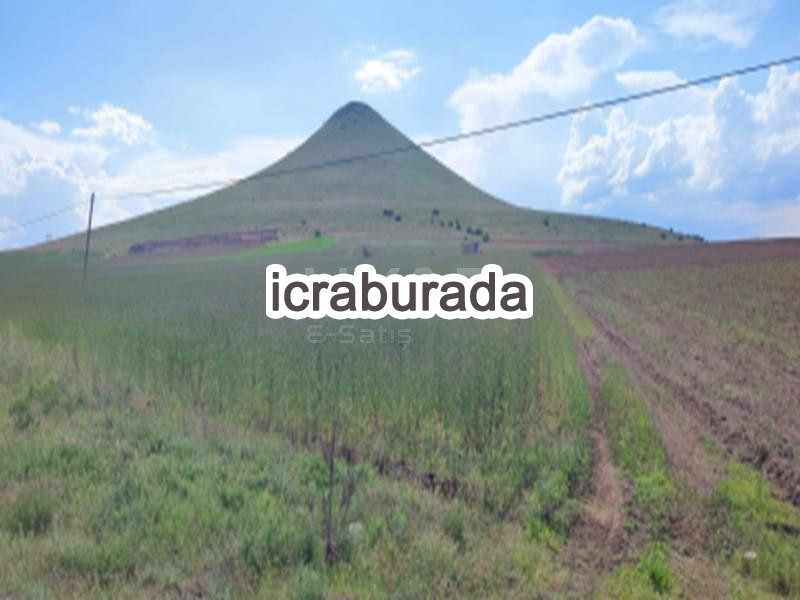 icralık  m2 Tarla Nevşehir Derinkuyu Til