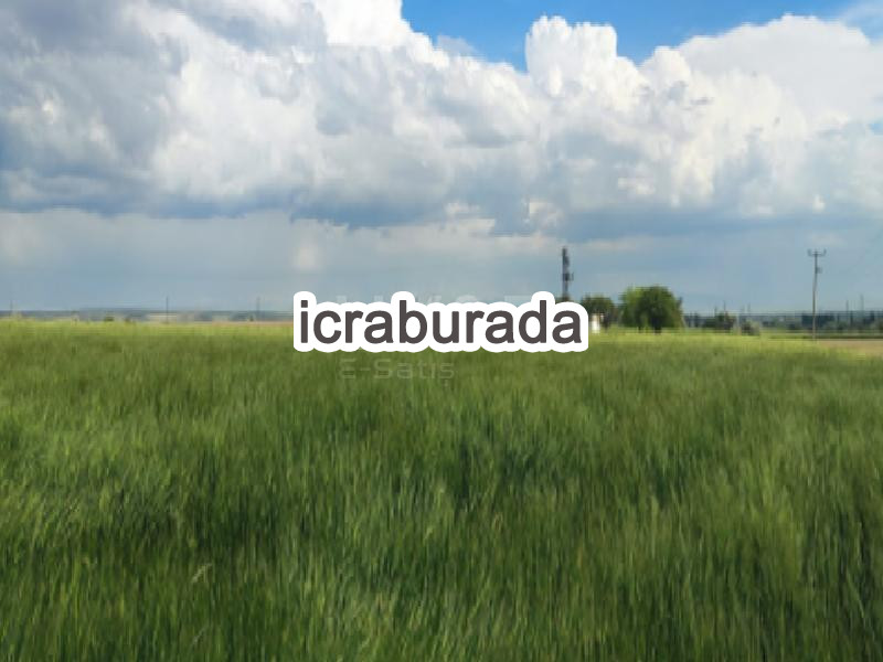 icralık  m2 Tarla Nevşehir Derinkuyu Namik Kemal