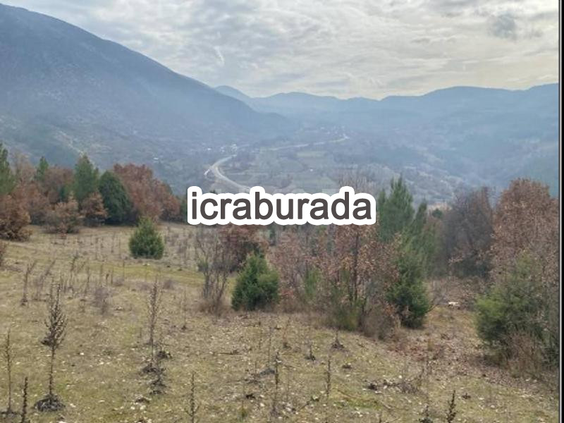 icralık  m2 Tarla Bursa Keles Kiranişiklar