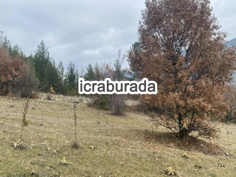 icralık  m2 Tarla Bursa Keles Kiranişiklar