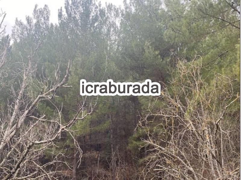 icralık  m2 Bag Bursa Keles Kiranişiklar