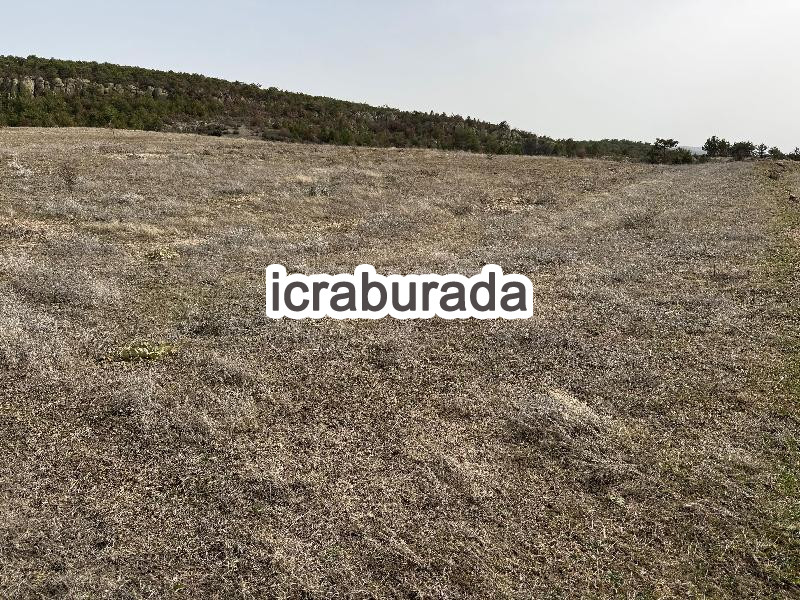 icralık  m2 Tarla Eskişehir Seyitgazi Yapildak