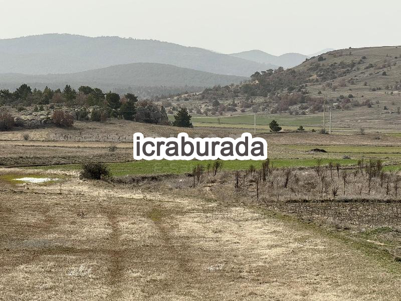 icralık  m2 Tarla Eskişehir Seyitgazi Yapildak