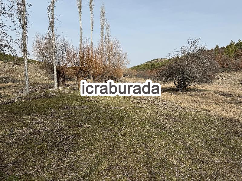 icralık  m2 Tarla Eskişehir Seyitgazi Yapildak