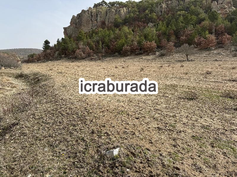 icralık  m2 Tarla Eskişehir Seyitgazi Yapildak