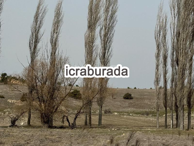 icralık  m2 Tarla Eskişehir Seyitgazi Yapildak