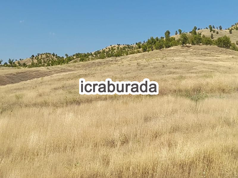icralık  m2 Tarla Malatya Battalgazi Kuluşaği