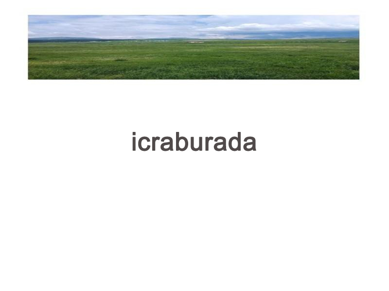 icralık  m2 Tarla Ardahan Hanak Baştoklu