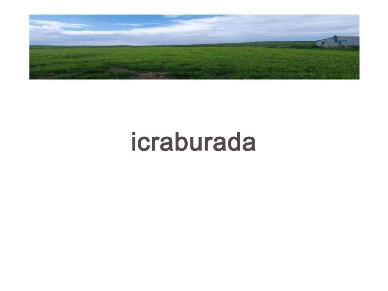 icralık  m2 Tarla Ardahan Hanak Baştoklu