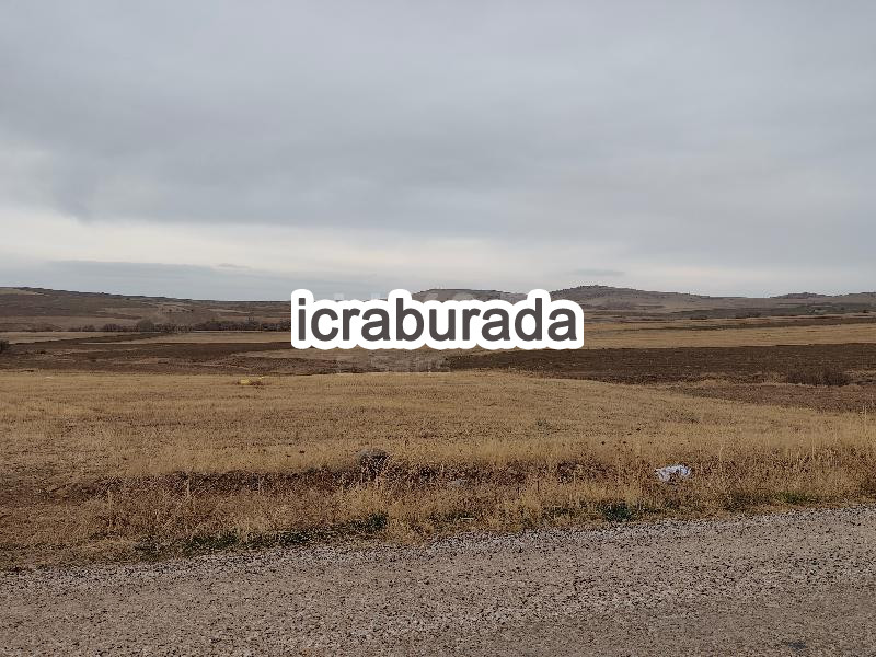 icralık  m2 Tarla Kırşehir Kaman Yeniyapan