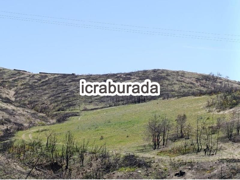 icralık  m2 Tarla Bilecik Osmaneli Kizilöz