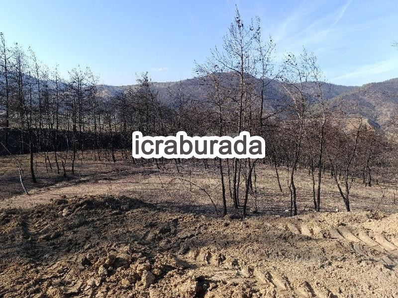 icralık  m2 Tarla Bilecik Osmaneli Kizilöz