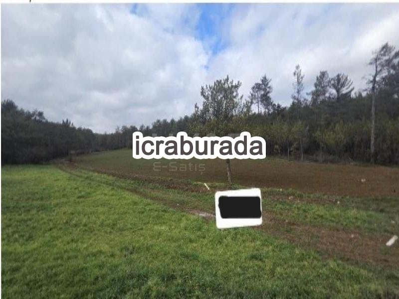 icralık  m2 Tarla Bolu Göynük Bölücekova