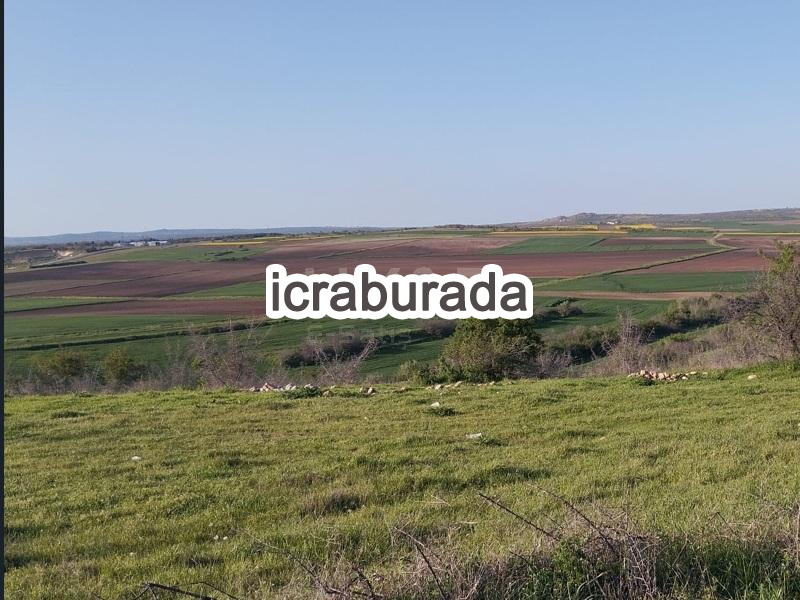 icralık  m2 Tarla Edirne Süloğlu Cumhuriyet