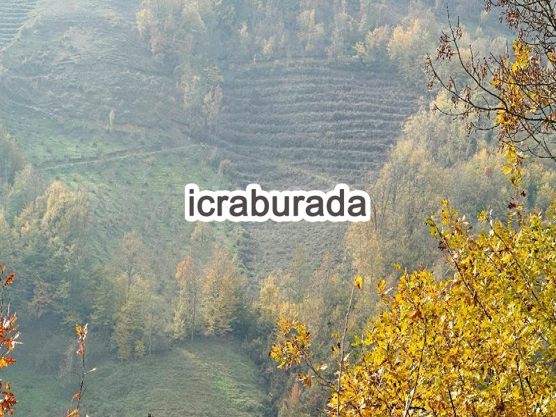icralık  m2 Arsa Samsun Canik Başkonak