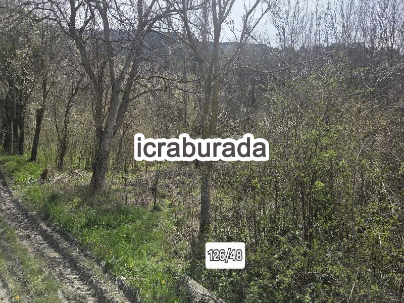 icralık  m2 Diger Bolu Göynük Kaşikçişeyhler