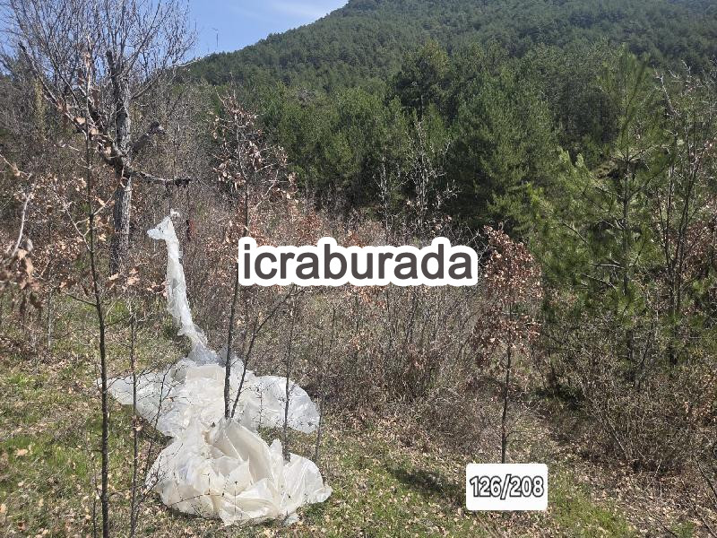 icralık  m2 Diger Bolu Göynük Kaşikçişeyhler