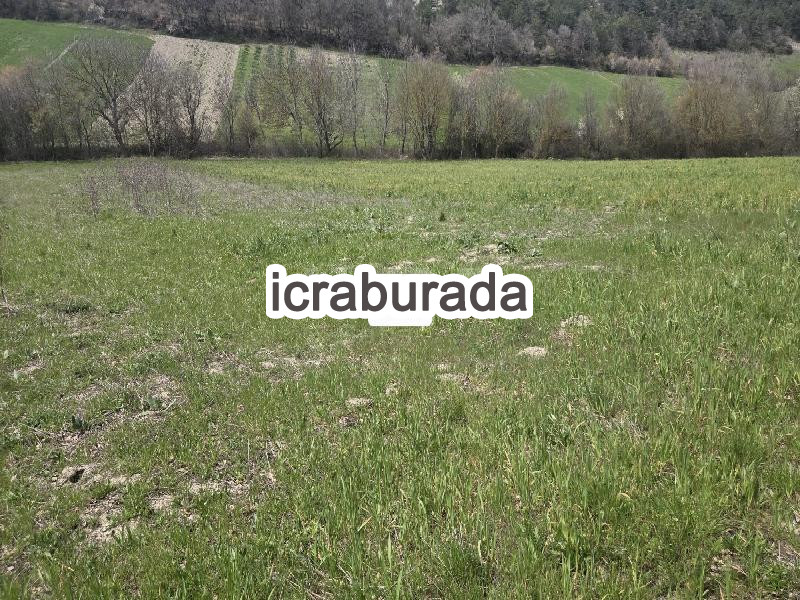 icralık  m2 Tarla Bolu Göynük Kaşikçişeyhler